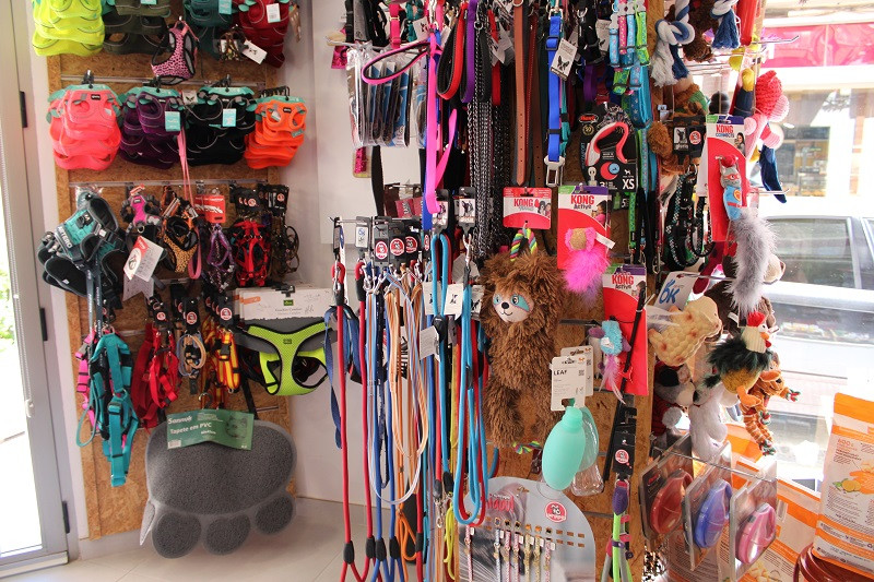 150424 VA PELUQUERIA CANINA LUNA 9