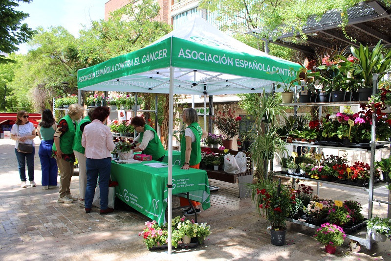 110524 VA BALCON DE LAS FLORES AECC 2