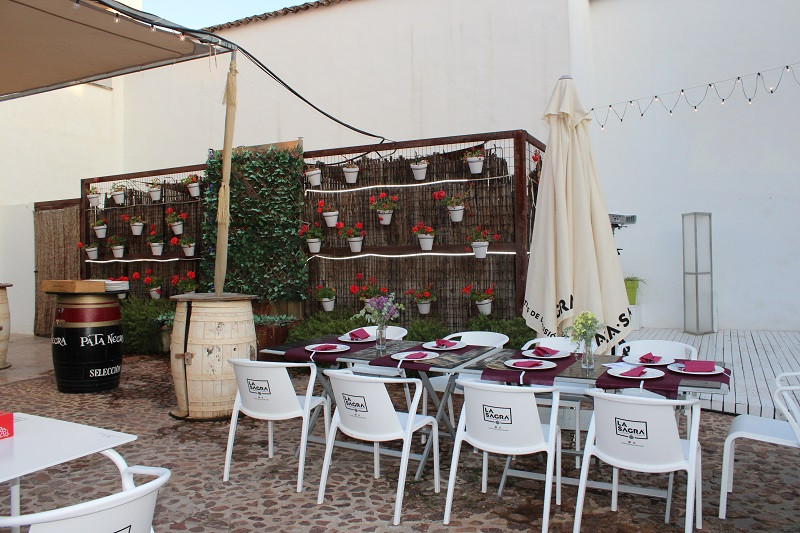 LA ANTIGUA BODEGA LOS LLANOS 4