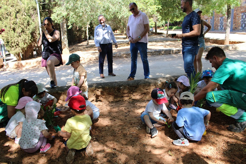 050624 VA PLANTACION 1
