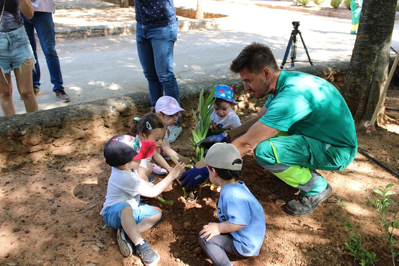 050624 VA PLANTACION 5