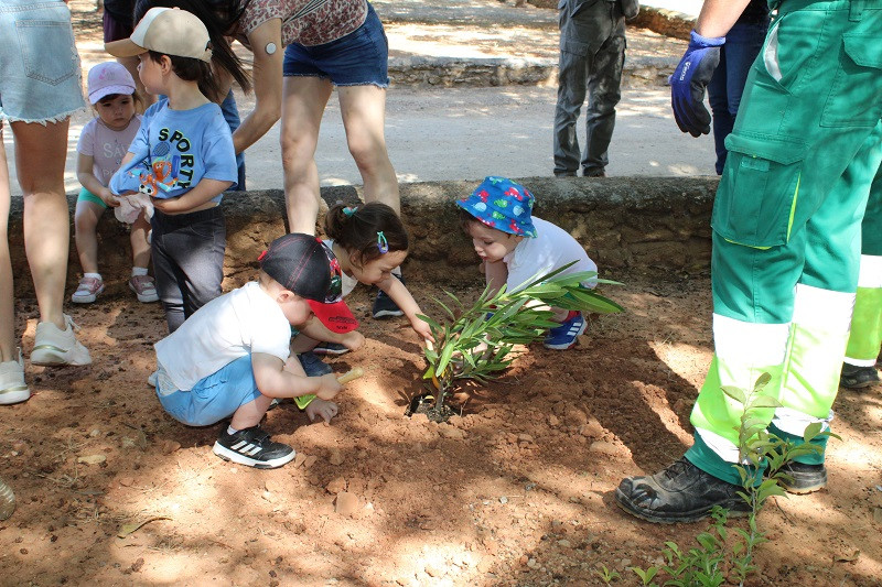 050624 VA PLANTACION 4