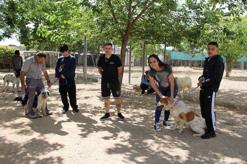 200624 VA CENTRO CANINO 1