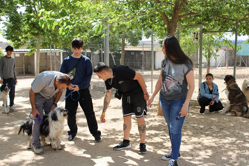 200624 VA CENTRO CANINO 2