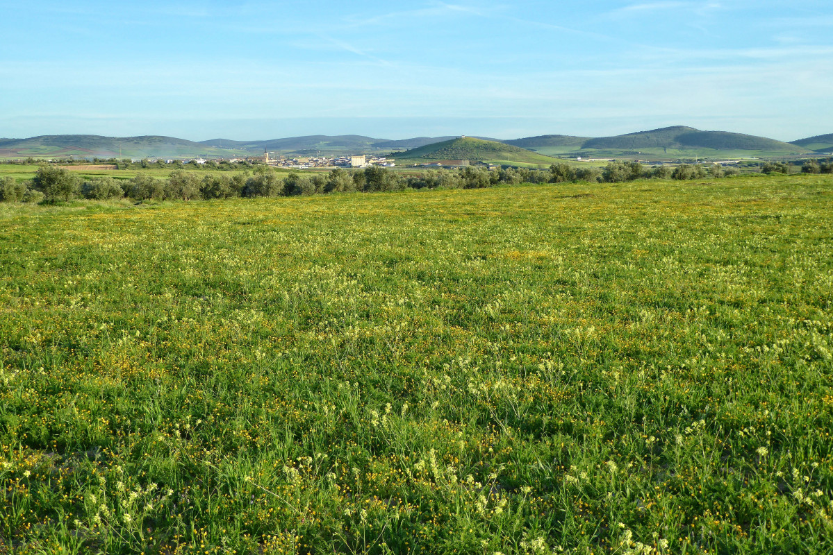 Entorno de Santa Cruz de Mudela