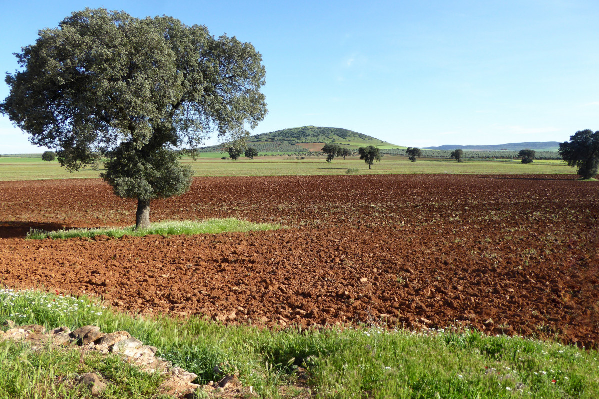Zona afectada por la mineru00eda de tierras raras en Santa Cruz de Mudela