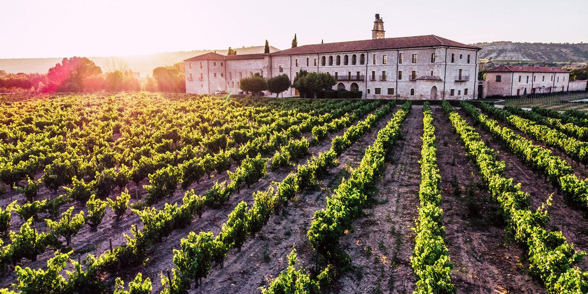 Bodegas enoturismo vino vendimia 1538589949