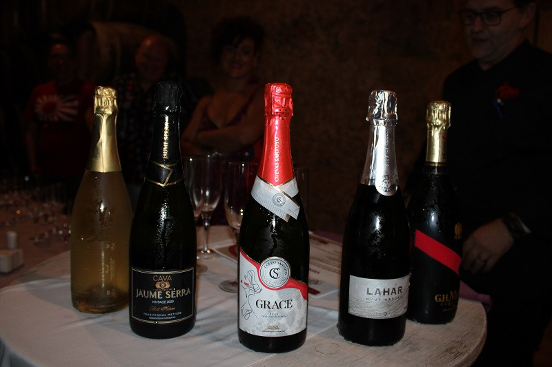 CATA LA ANTIGUA BODEGA LOS LLANOS 1