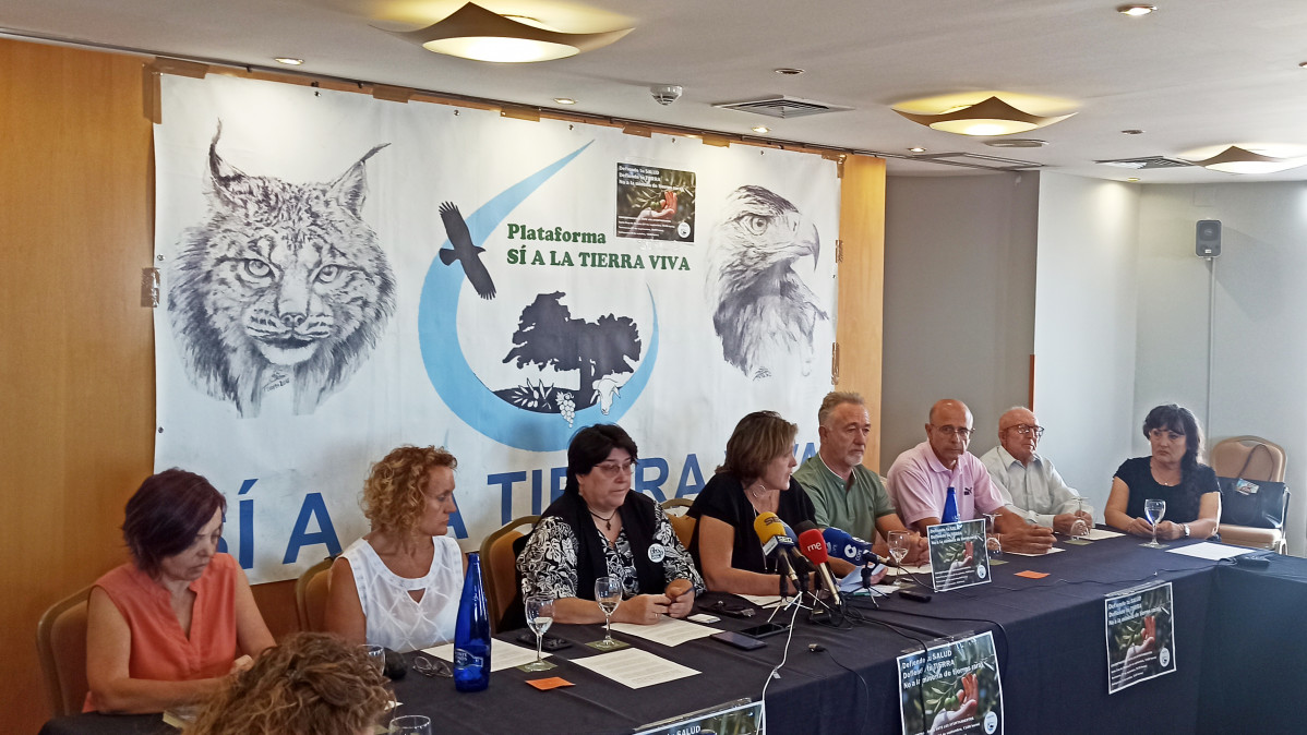 Rueda de prensa 2
