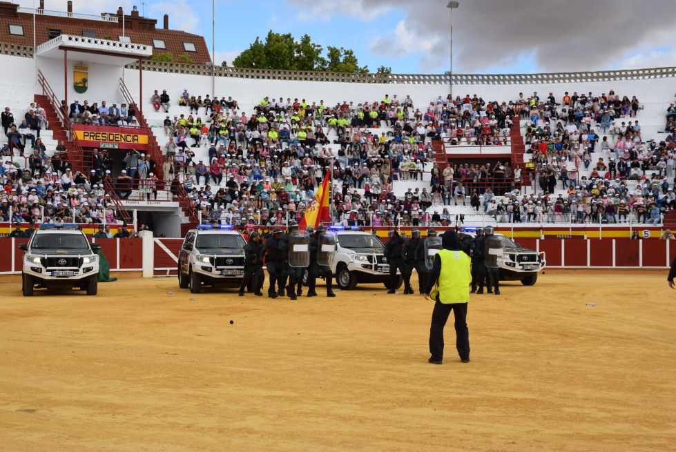 IMAGEN (6)