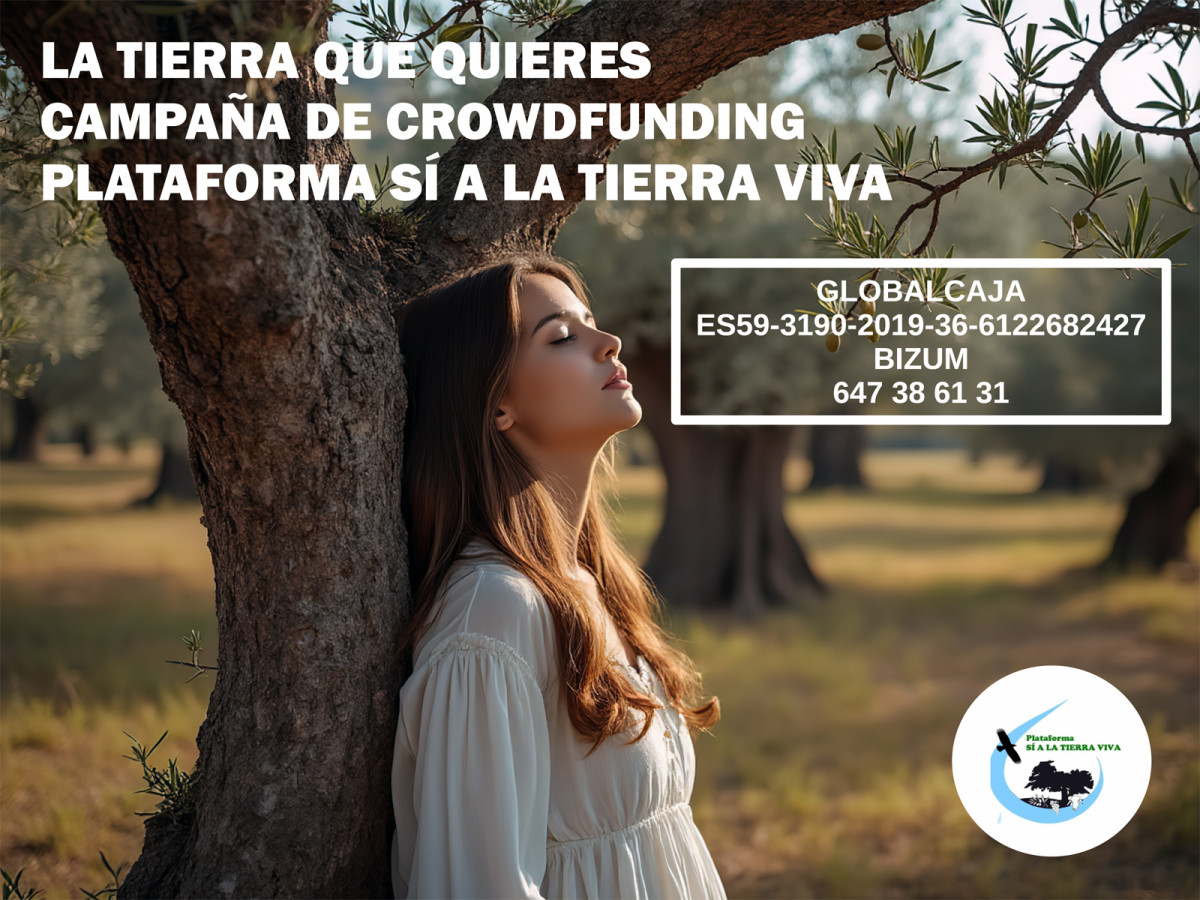 Campau00f1a de crowdfunding