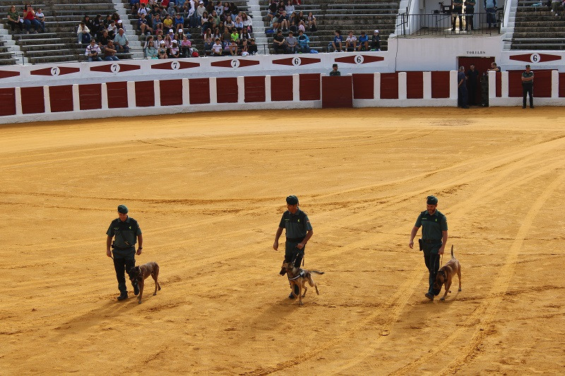 200924 VA GUARDIA CIVIL 6
