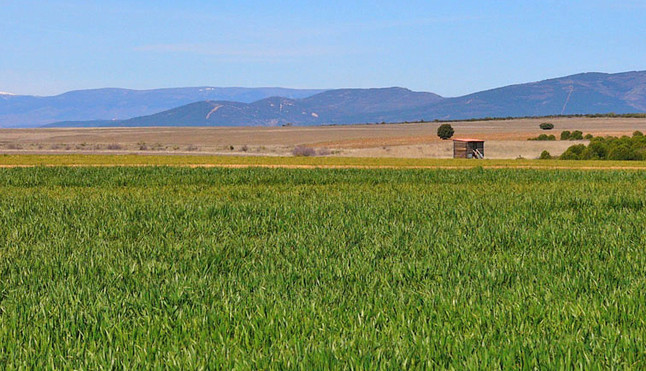 Lagunas de puebla de belena guadalajara