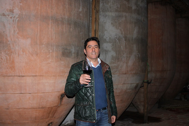 BODEGA NAVARRO HERMANOS 7