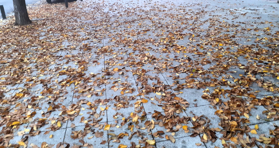 OTOÑO