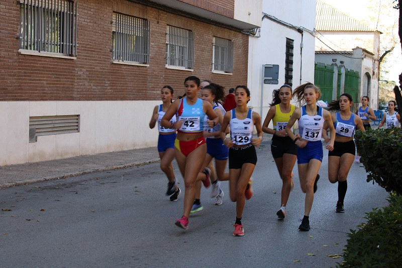 101124 VA MILLA URBANA 7