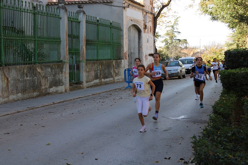 101124 VA MILLA URBANA 10