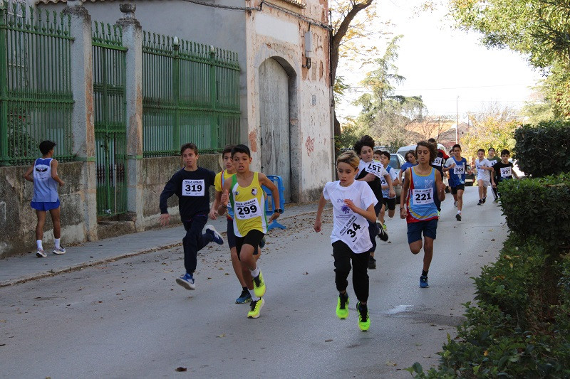 101124 VA MILLA URBANA 13