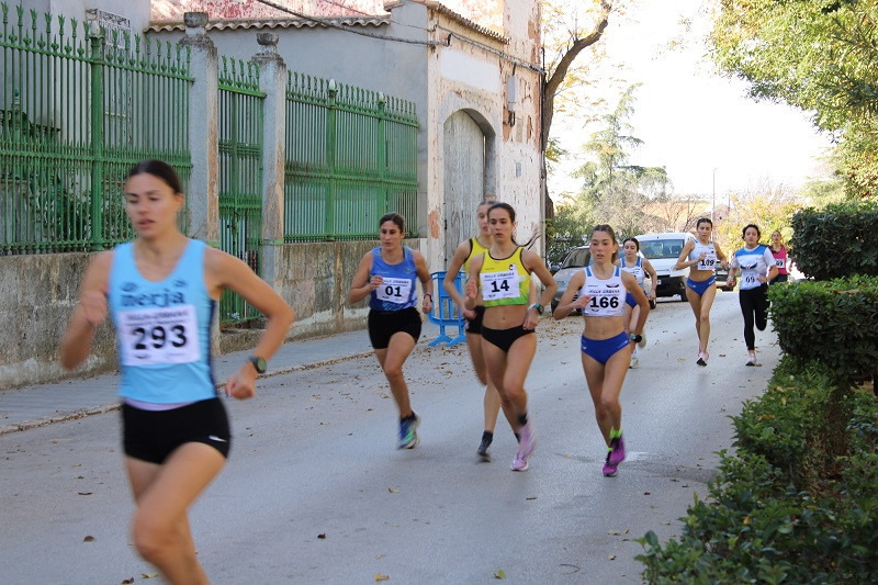 101124 VA MILLA URBANA 16