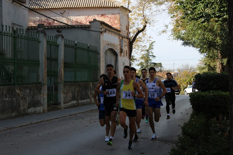 101124 VA MILLA URBANA 21