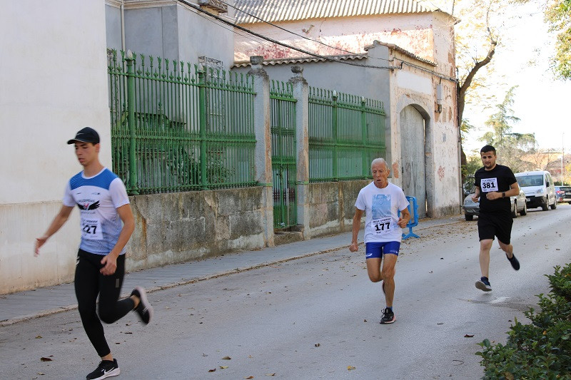 101124 VA MILLA URBANA 24