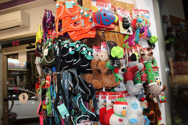 301124 VA PELUQUERIA CANINA LUNA 6