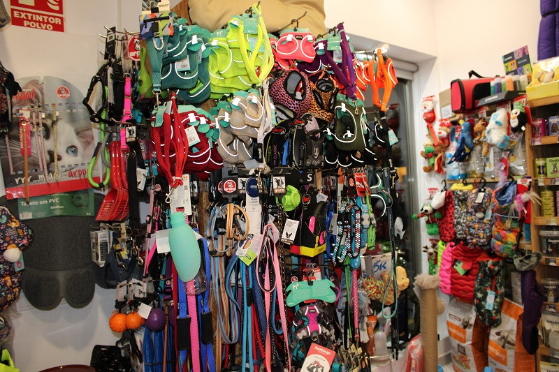 301124 VA PELUQUERIA CANINA LUNA 7