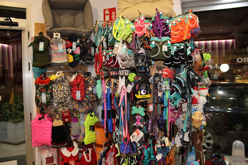 301124 VA PELUQUERIA CANINA LUNA 8