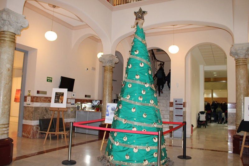 BELEN 7