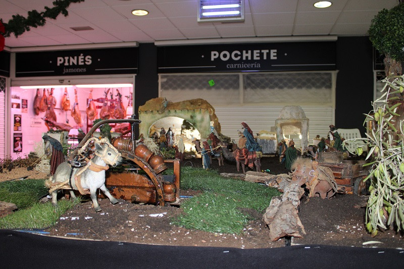 BELEN VALCENTRO 15