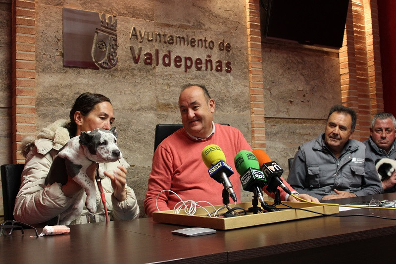 231224 va adopcion 1