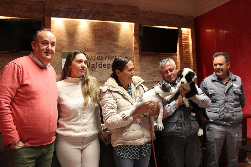 231224 va adopcion 2