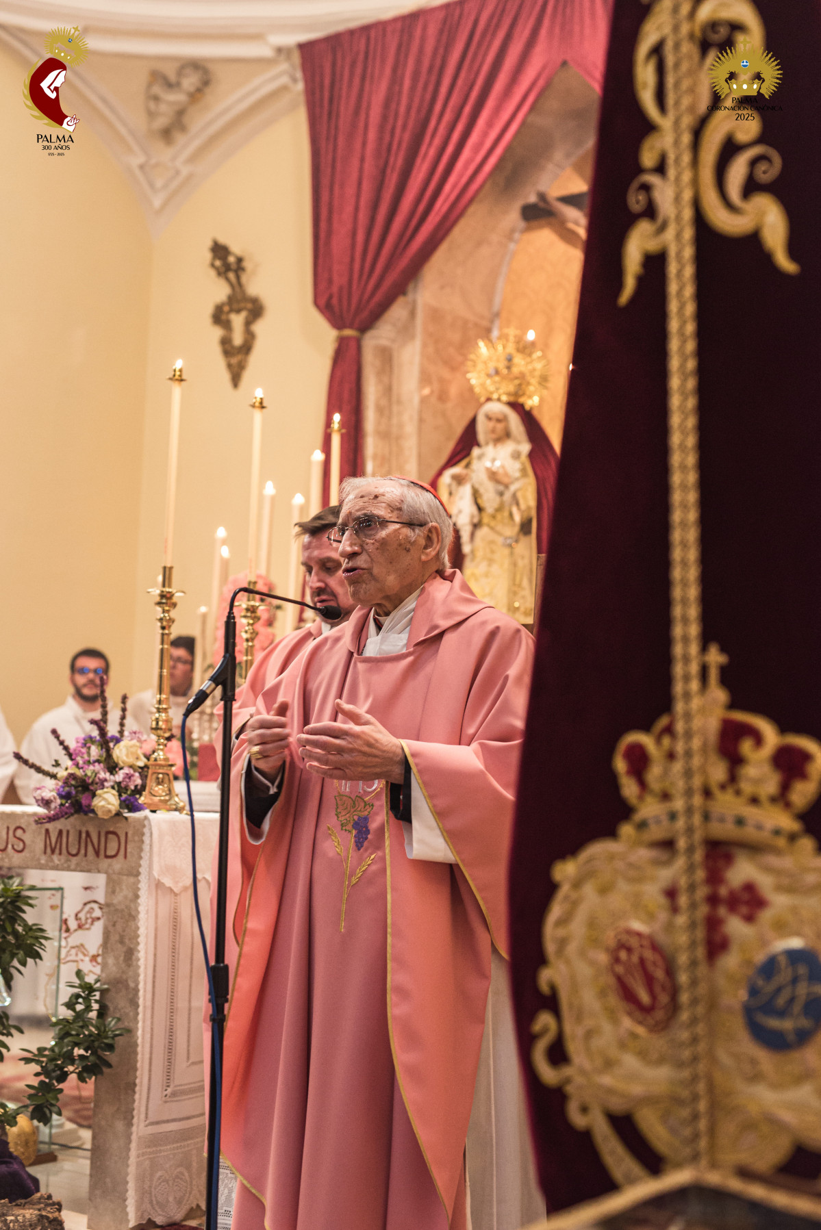 Pontifical Cardenal Rouco Varela (4)