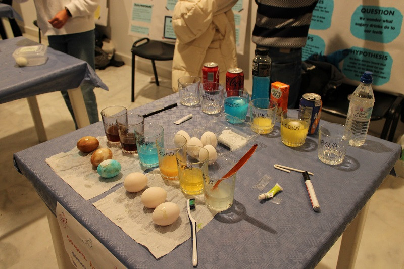 050425 VA FERIA DE LA CIENCIA 2