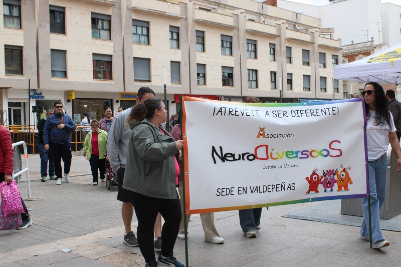 090525 VA MARCHA POR LA INCLUSION 8