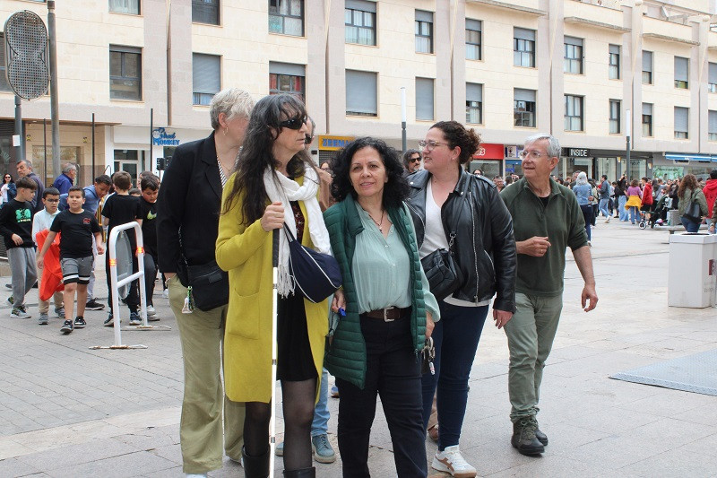 090525 VA MARCHA POR LA INCLUSION 5