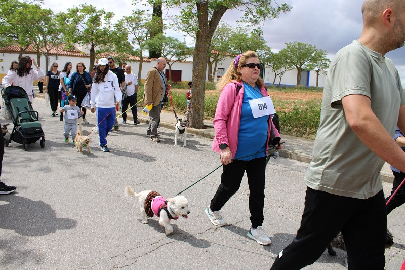 100525 VA MARCHA FATIMA 5