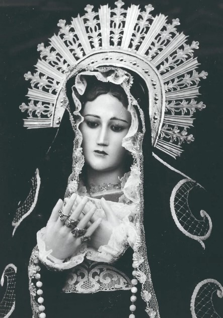 Palma antigua