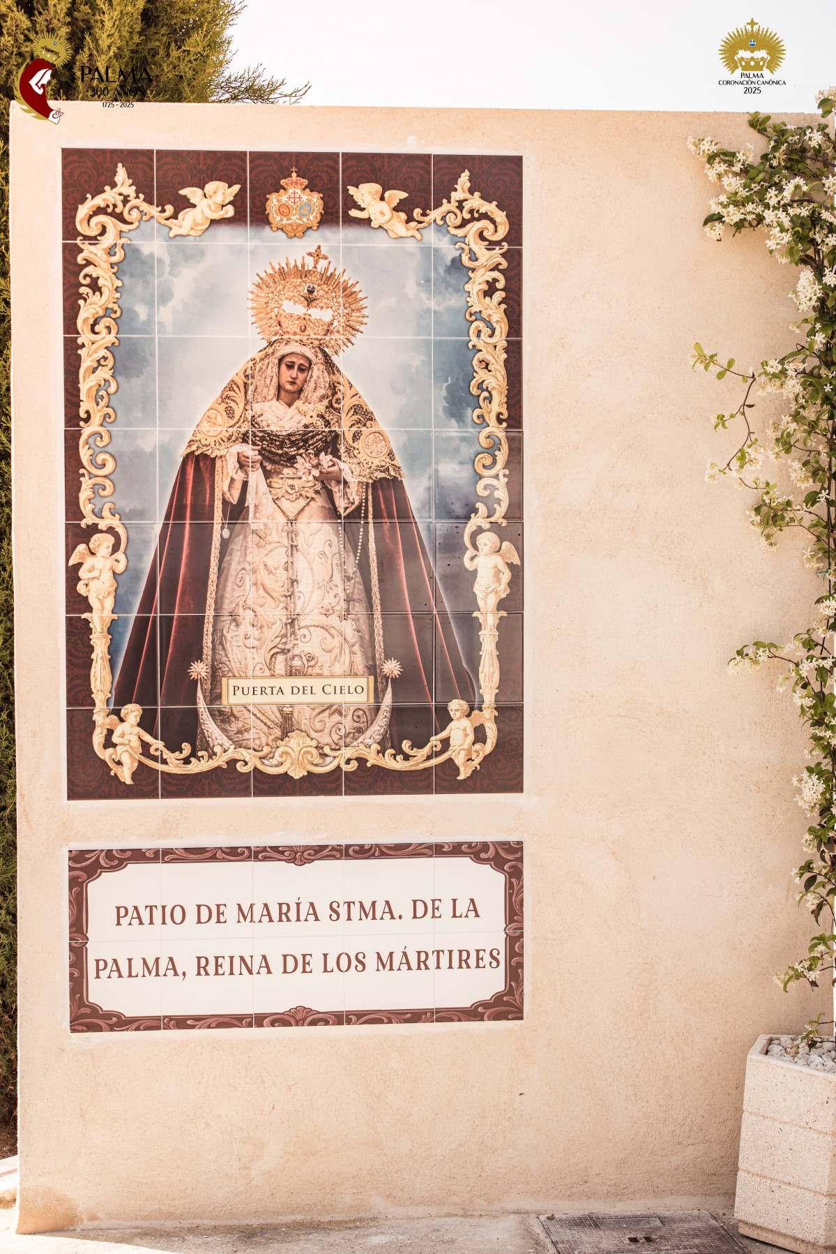 Visita Palma Cementerio (12)
