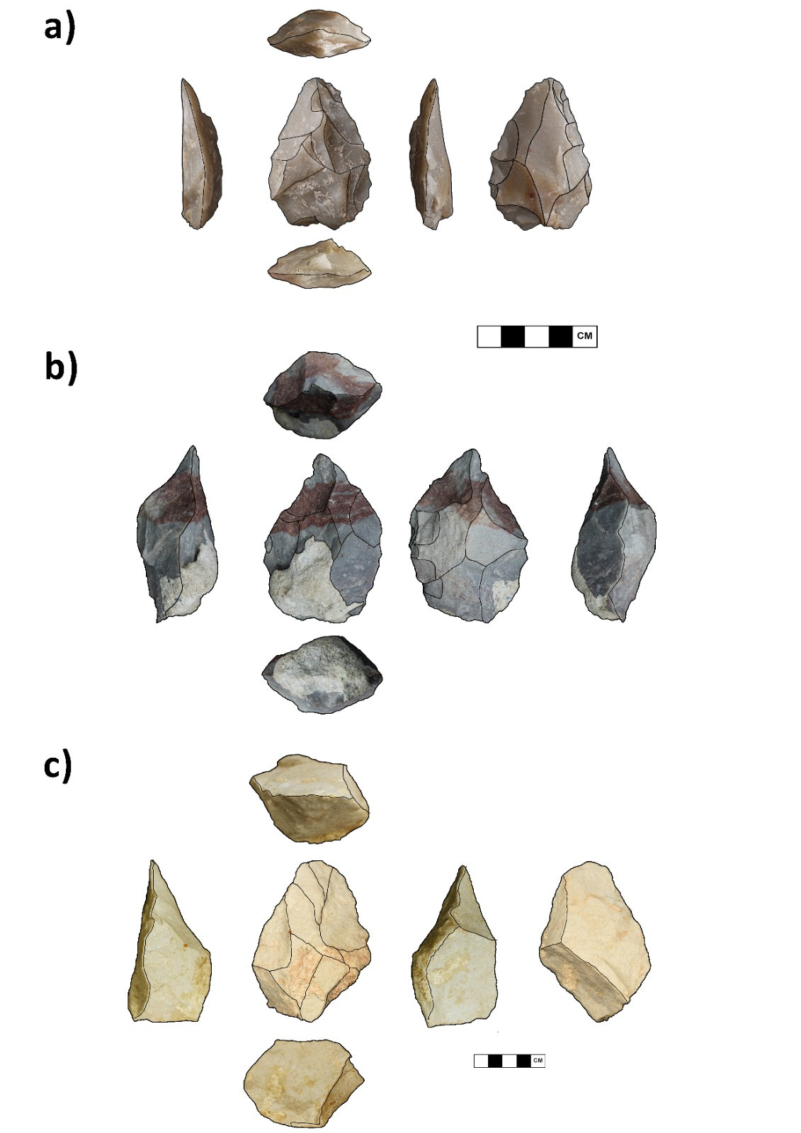 Carrizosa herramientas