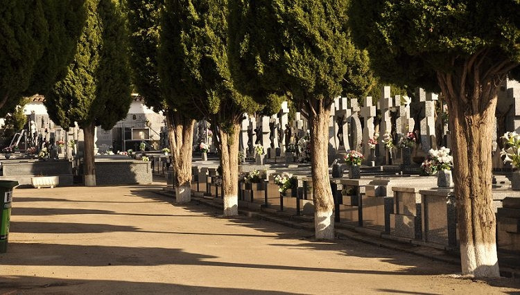CEMENTERIO VALDEPEu00d1AS