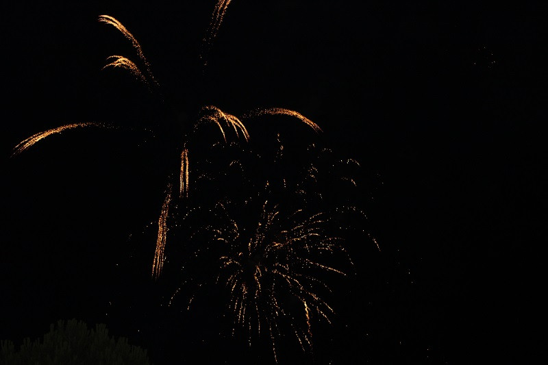 310725 VA INAUG FERIA 29