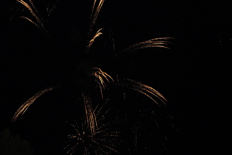 310725 VA INAUG FERIA 28