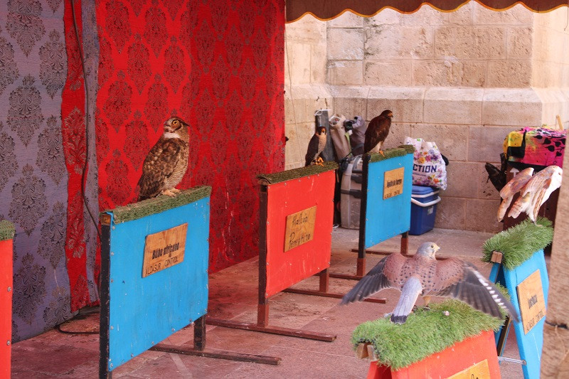 010825 VA MERCADO MEDIEVAL 3