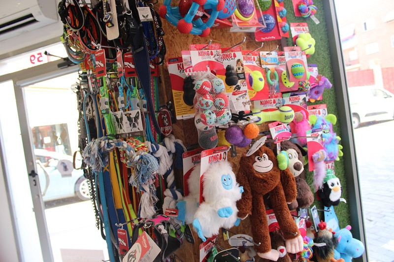 150825 VA PELUQUERIA CANINA LUNA 9