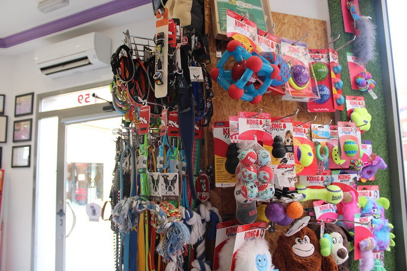 150825 VA PELUQUERIA CANINA LUNA 7