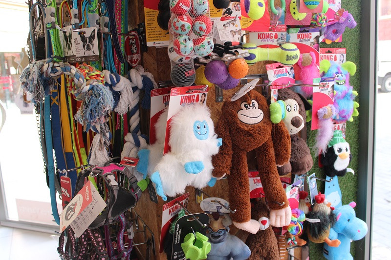 150825 VA PELUQUERIA CANINA LUNA 8