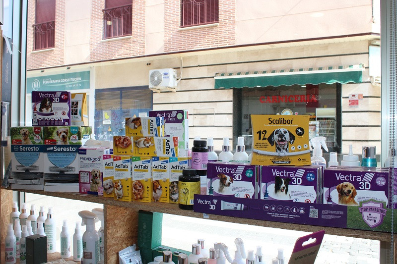 150825 VA PELUQUERIA CANINA LUNA 10