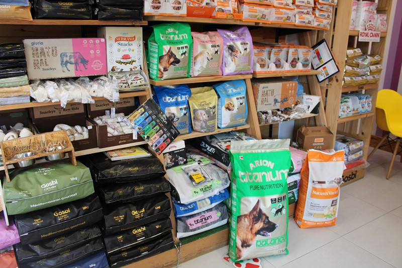 150825 VA PELUQUERIA CANINA LUNA 4
